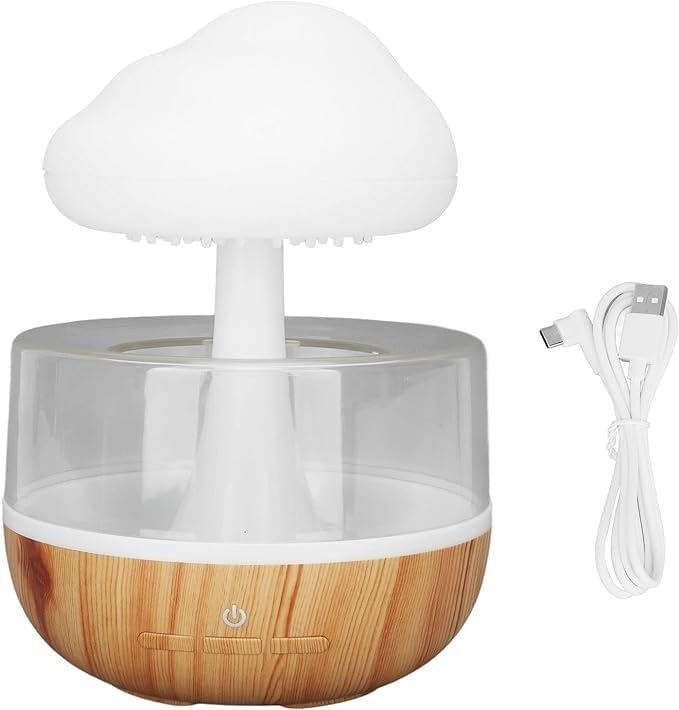 Rain Cloud Humidifier